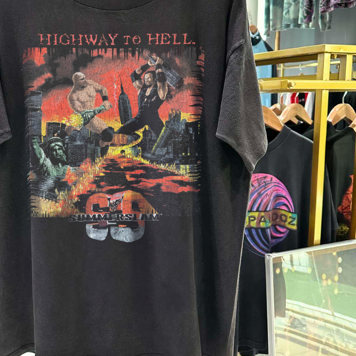 Highway To Hell 1998 Summerslam Stone Cold X Undertaker Vintage Washed T-Shirt